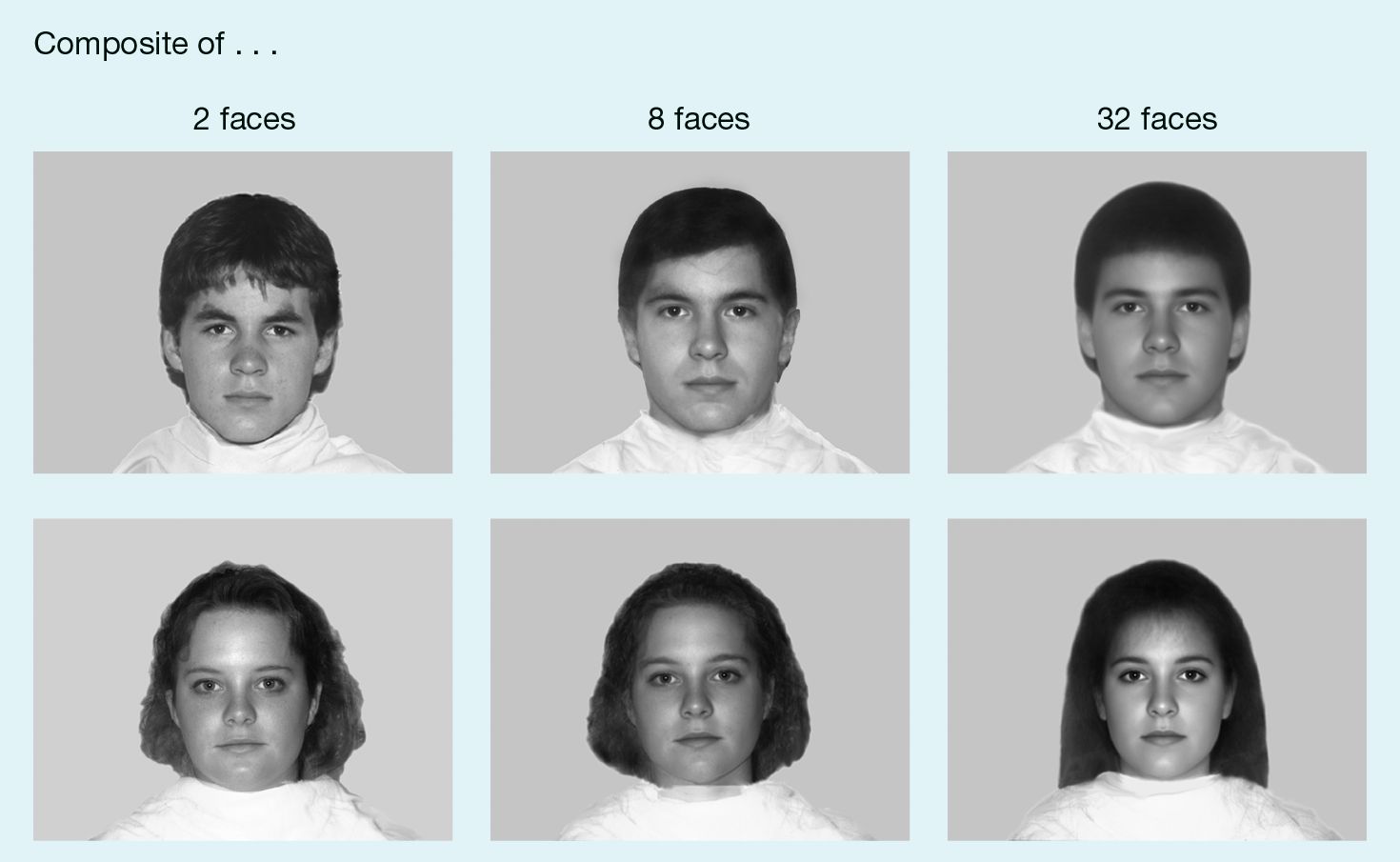 Two rows of three faces that get progressively smoother and less distinctive. The top row are male faces and the bottom row are female faces.