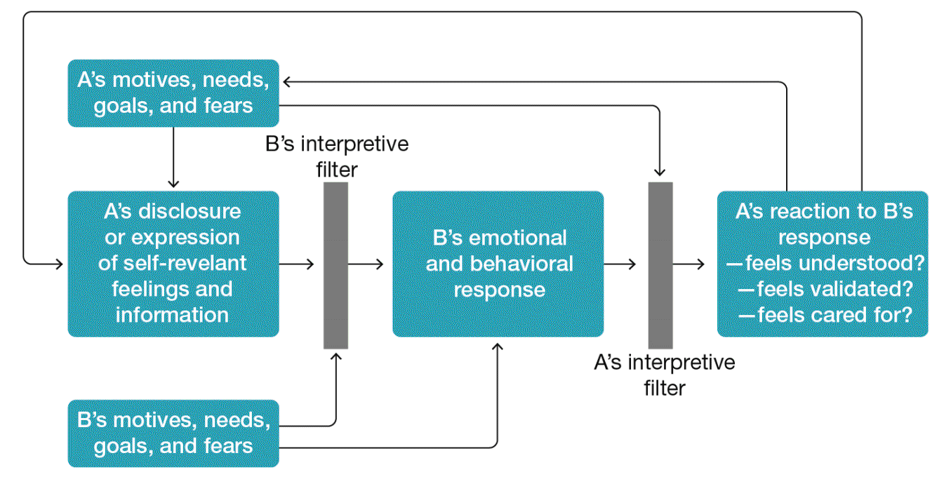 A flowchart for the intimacy process model. The diagram begins with Bâ€™s motives, needs, goals and fears and either passes through Bâ€™s interpretive filter or goes straight to Bâ€™s emotional and behavioral response. Bâ€™s response goes through Aâ€™s interpretive filter, leading to Aâ€™s reaction to Bâ€™s response where they either feel understood, validated, or cared for. This can either pass through Aâ€™s motives, needs, goals, and fears or go directly to Aâ€™s disclosure or expression of self-relevant feelings and information. Aâ€™s disclosure then passes through Bâ€™s interpretive filter, restarting the cycle.