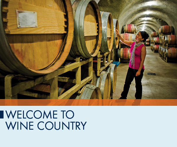 Welcome to Wine Country