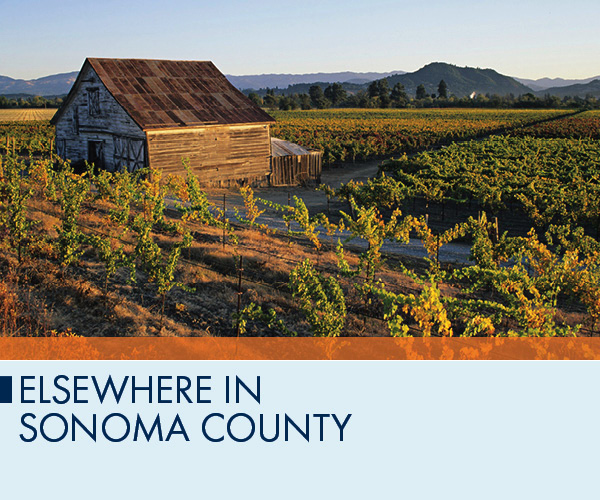 Elsewhere in Sonoma County