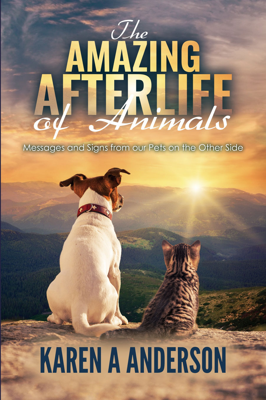 cover-image, The Amazing Afterlife of Animals By Karen A Anderson 2