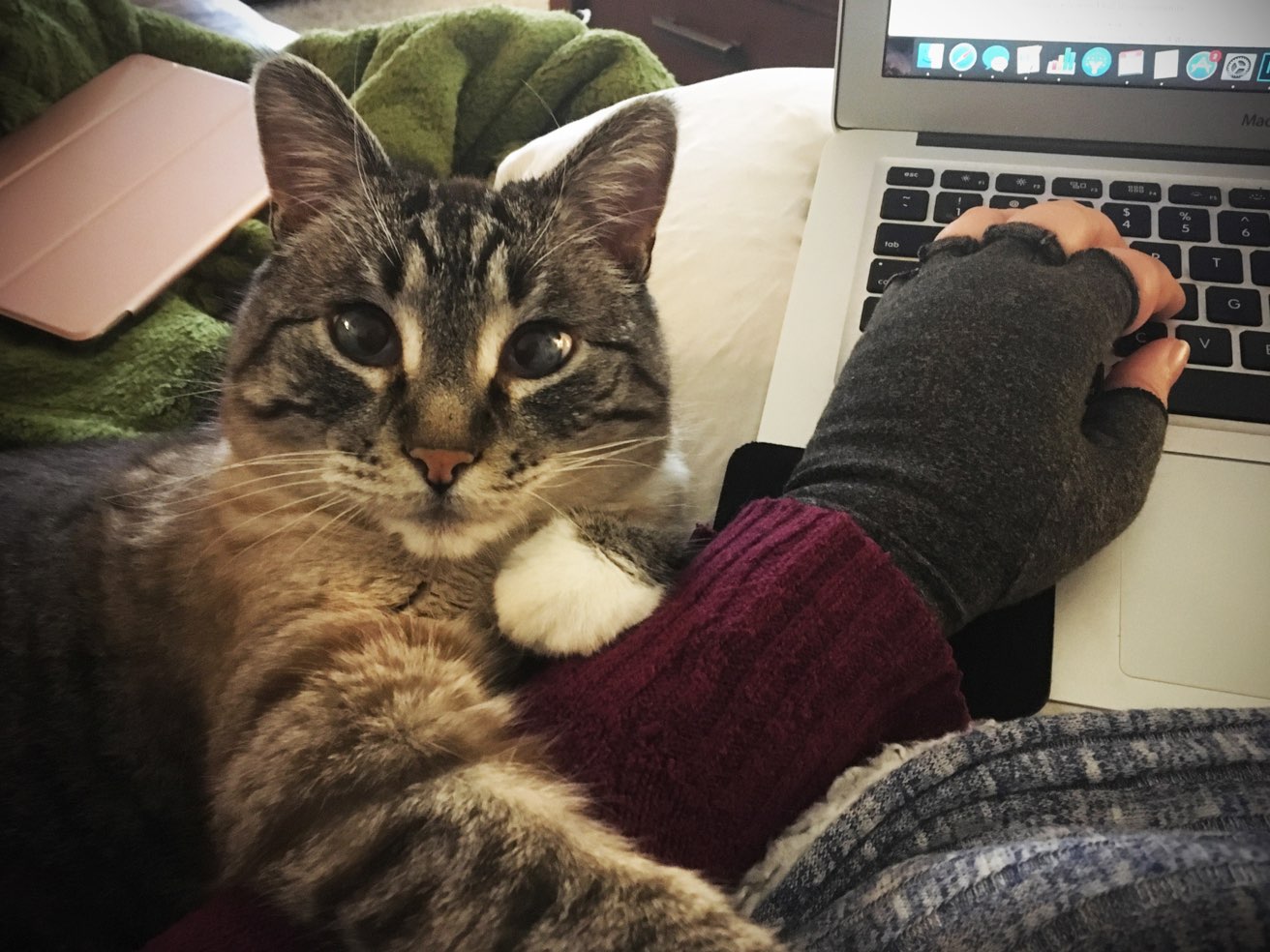 Jasmine the Writing Cat, helping me write