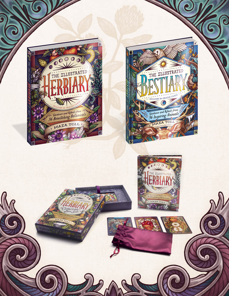 The illustrated herbiary and bestiary collectible box set