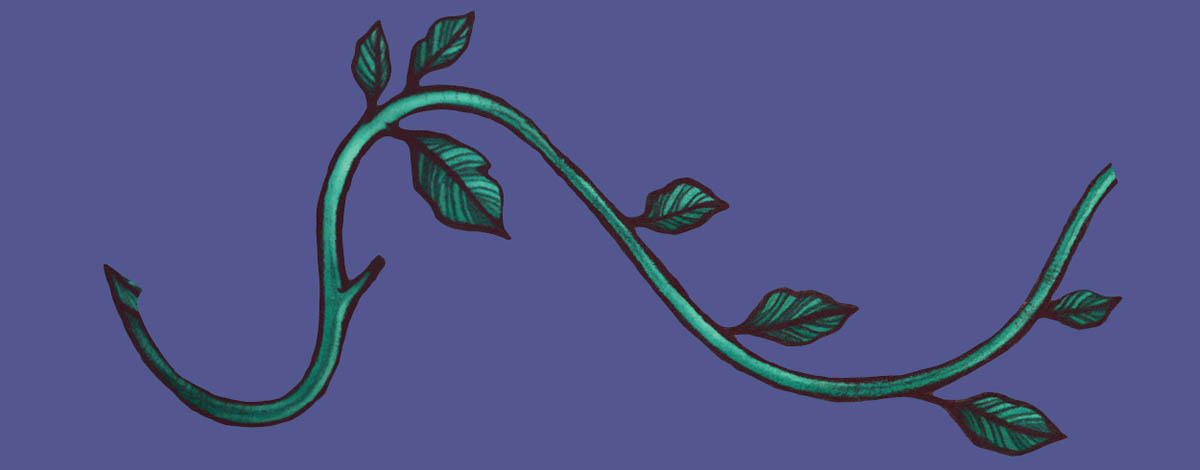 A leafy green vine