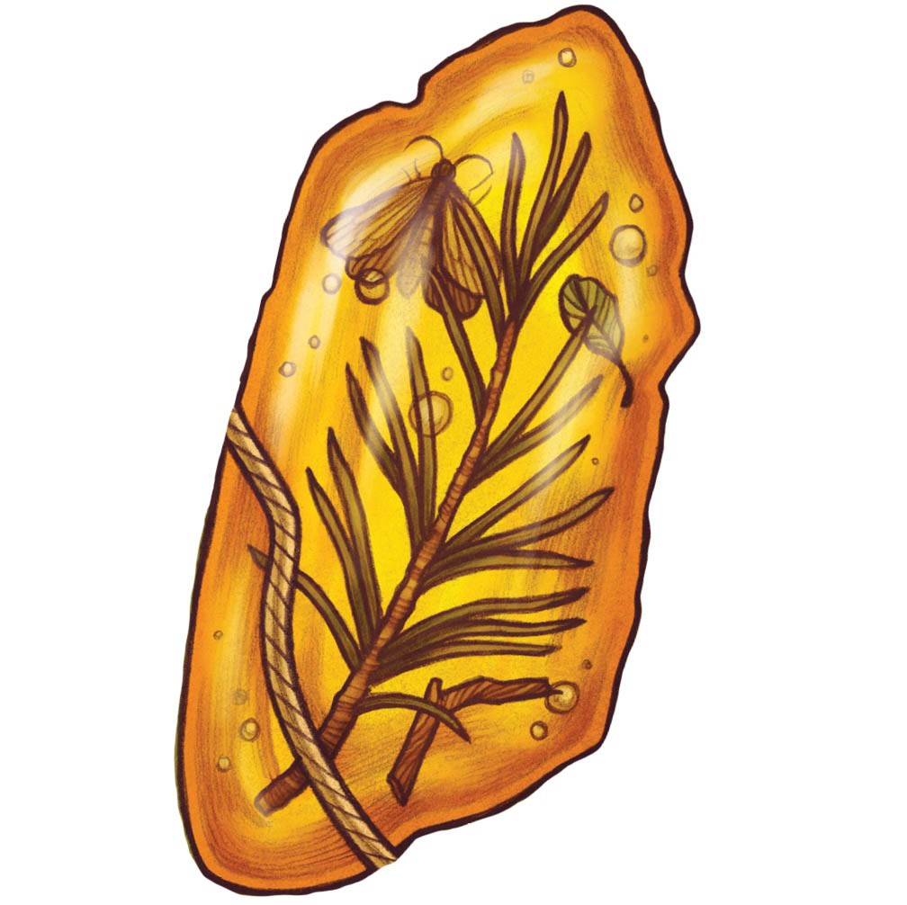 A piece of amber with leaves and bugs preserved inside