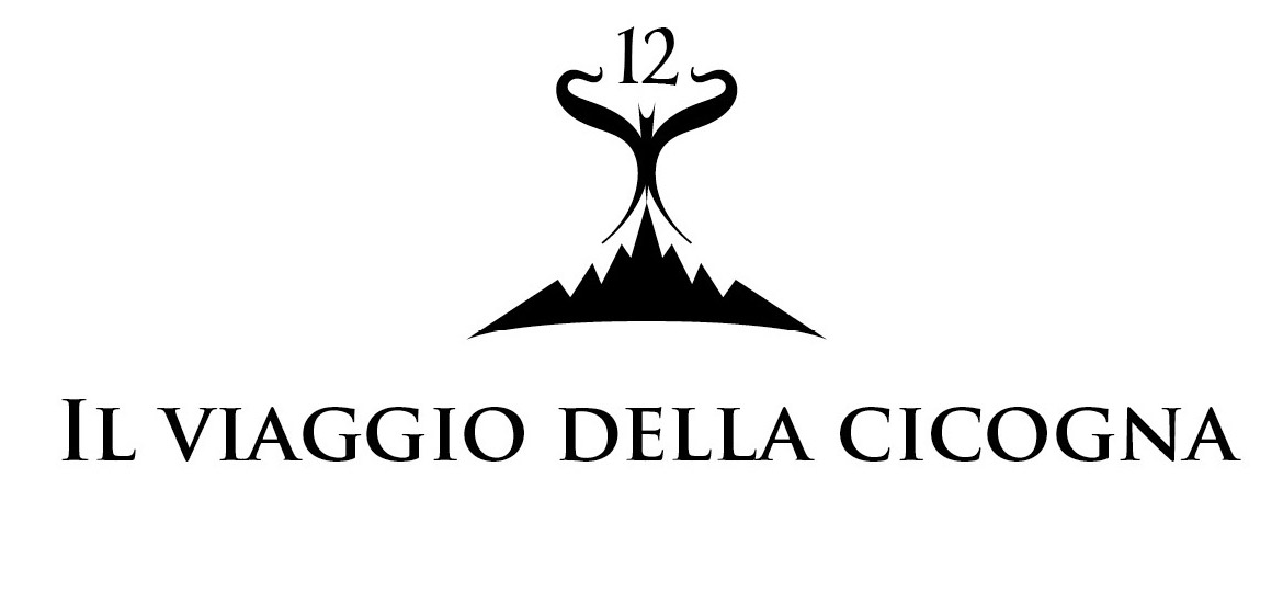 Capitolo 12 - Il viaggio della cicogna (con simbolo del capitolo)