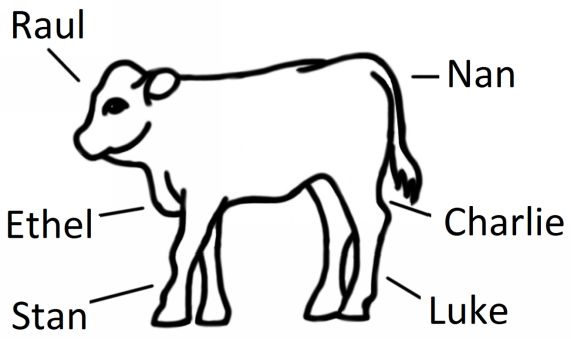 C:\Users\Dell530\Desktop\Cow Country\Diagrams\4.2 - calf (cropped).png