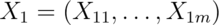 X_1 = (X_{11},\ldots,X_{1m})