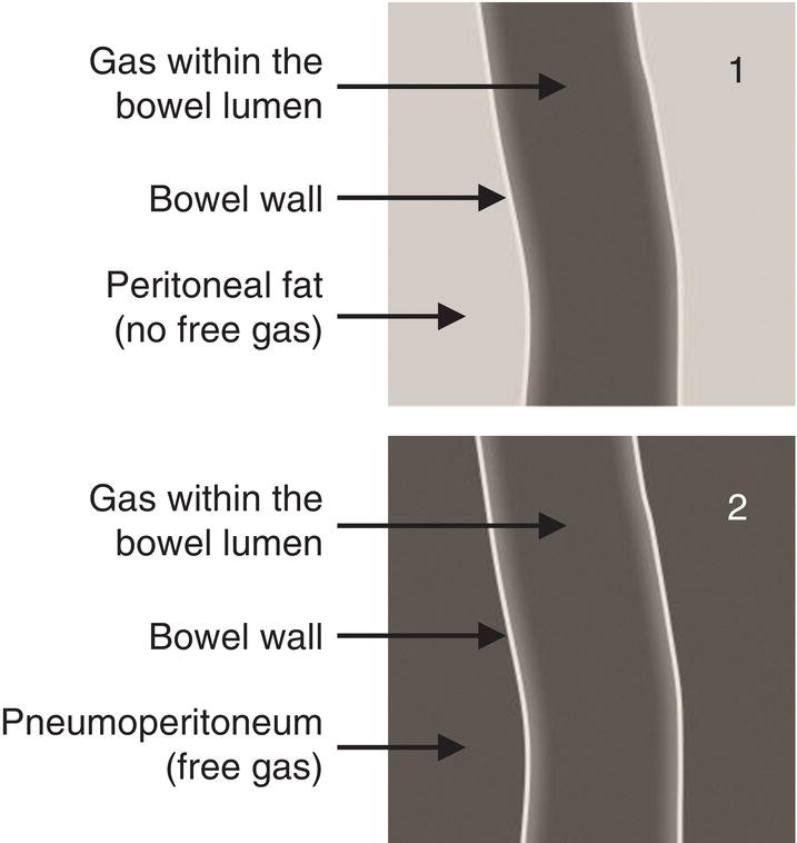 c2-fig-0003