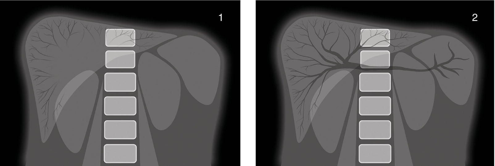 c2-fig-0019