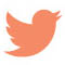 twitter logo