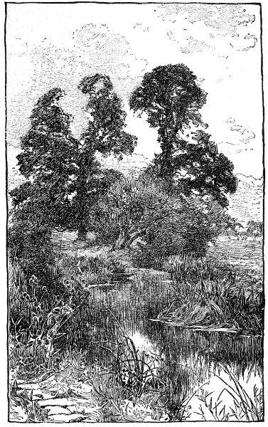 ELMS BY BIDFORD GRANGE. BY ALFRED PARSONS. REPRODUCED FROM QUILLER COUCH'S 'THE WARWICKSHIRE AVON.' BY LEAVE OF OSGOOD, McILVAINE AND CO.