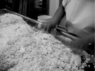 A worker handling a huge pile of cheese curd