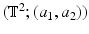 
$$(\mathbb{T}^{2};(a_{1},a_{2}))$$
