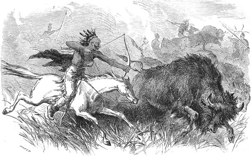 The Buffalo Hunt