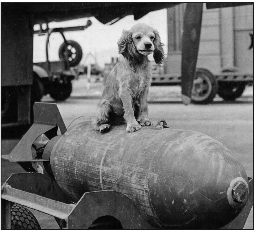 A dog rides a five-hundred-pound bomb at Hickam Field, Oahu, site of the Pearl Harbor attack.