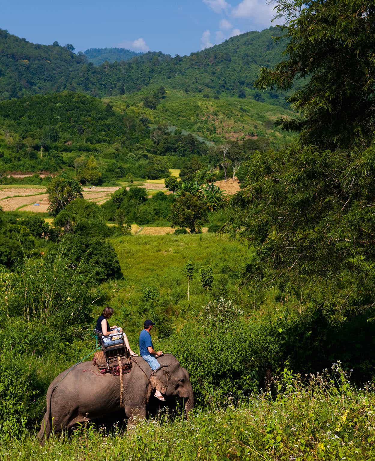 09Th_ChiangRai_ElephantTrek_03_Thailand_EC.jpg