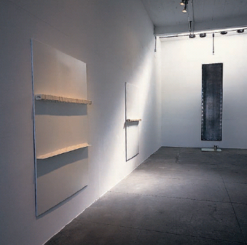 Installation view of the artist...