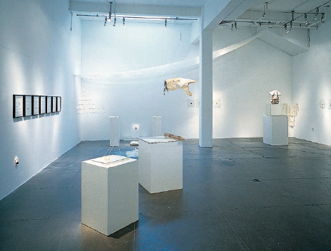 Installation view of the artist...