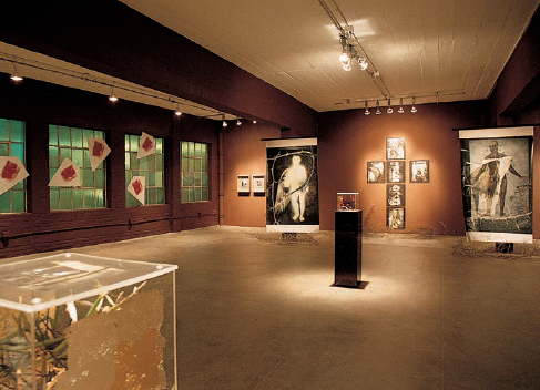 Installation view of the artist...