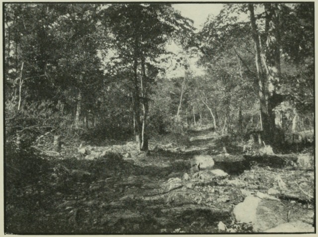 Braddock’s Road near Frostburg, Maryland