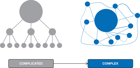 The figure illustrates how to move from a complicated world (on the left-hand side) to a complex world (on the right-hand side).