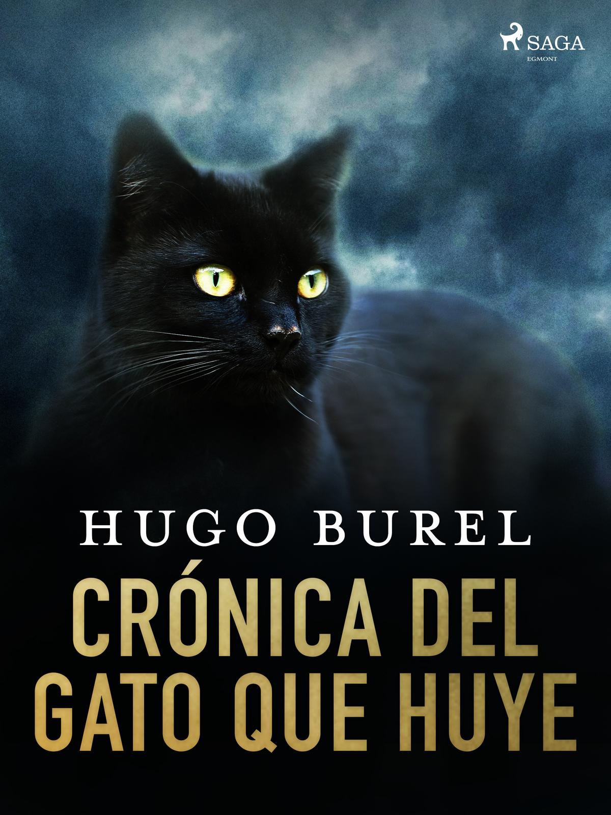 Cover: Crónica del gato que huye by Hugo Burel