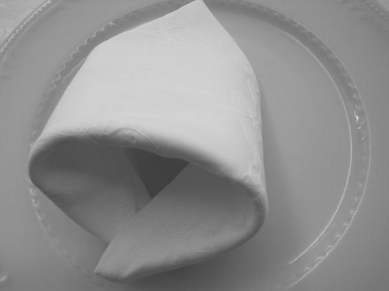 Folded napkin on a plate