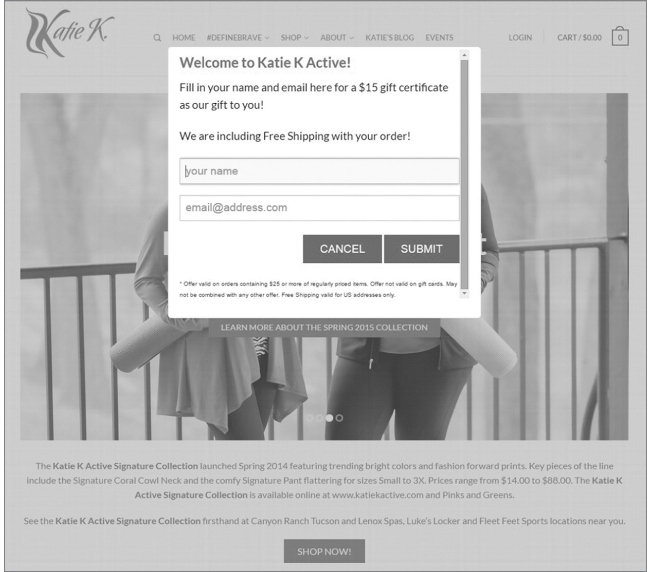 FIGURE 6.7: Katie K Active Wear Landing Page