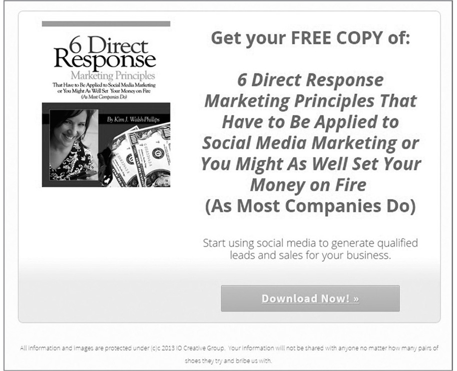 FIGURE 10.1: Six Social Media Secrets Free Report Offer