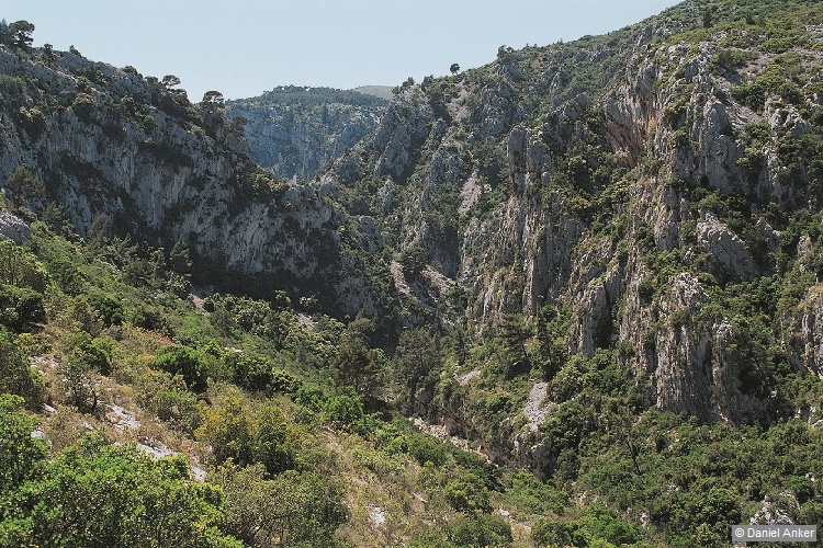 Gorges du Destel