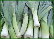 leeks.jpg