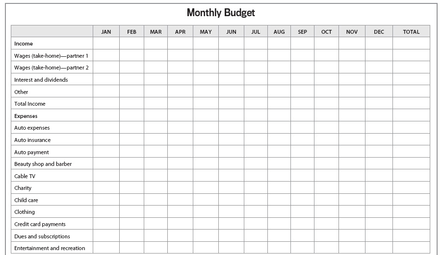 Figure 12.3. Monthly Budget