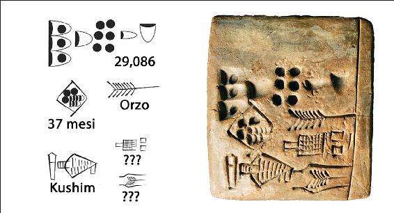 13. Una tavoletta d’argilla contenente un testo amministrativo, dalla città di Uruk, circa 3400-3000 a.C. “Kushim” può essere un generico titolo di un funzionario preposto, oppure un nome vero e proprio. Se fosse davvero il nome di una persona, sarebbe il primo della storia ad arrivare a noi! Tutti i nomi applicati in precedenza – i Neanderthal, i Natufiani, la Grotta Chauvet, Göbekli Tepe – sono invenzioni moderne. Noi non abbiamo idea di come chiamassero quel posto i costruttori di Göbekli Tepe. Con la comparsa della scrittura, cominciamo invece a sentire la storia attraverso le orecchie dei suoi protagonisti. Quando i vicini di casa di Kushim volevano chiamarlo, è possibile che gridassero appunto “Kushim!” È significativo che il primo nome registrato dalla storia appartenga a un contabile e non a un profeta, un poeta o un conquistatore 41