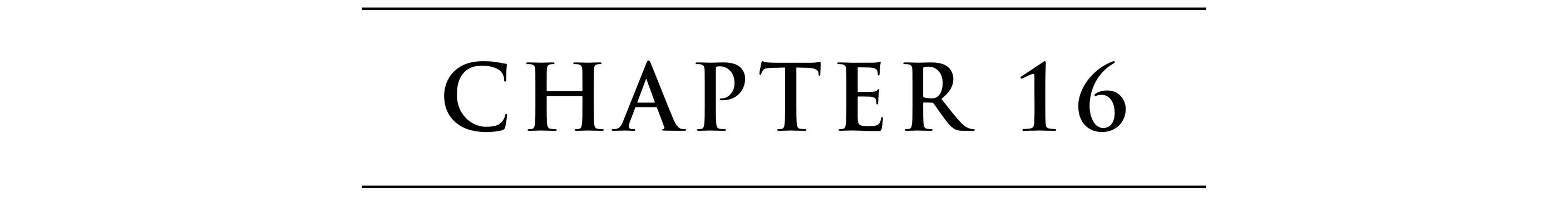 CHAPTER 16