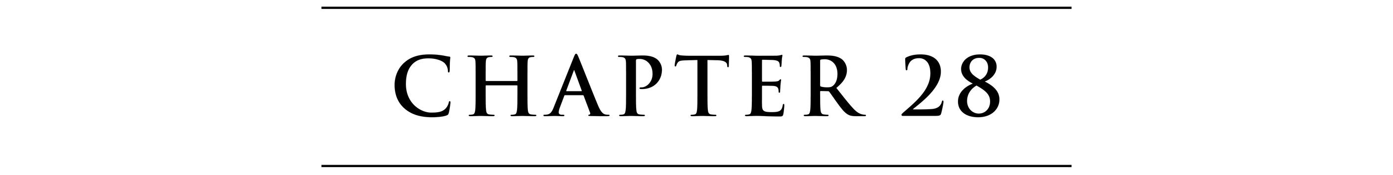 CHAPTER 28