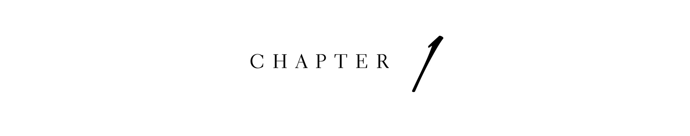 CHAPTER 1