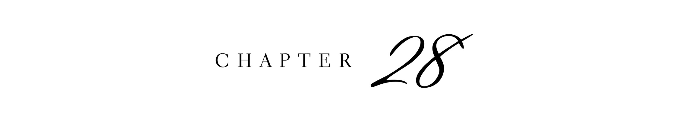 CHAPTER 28