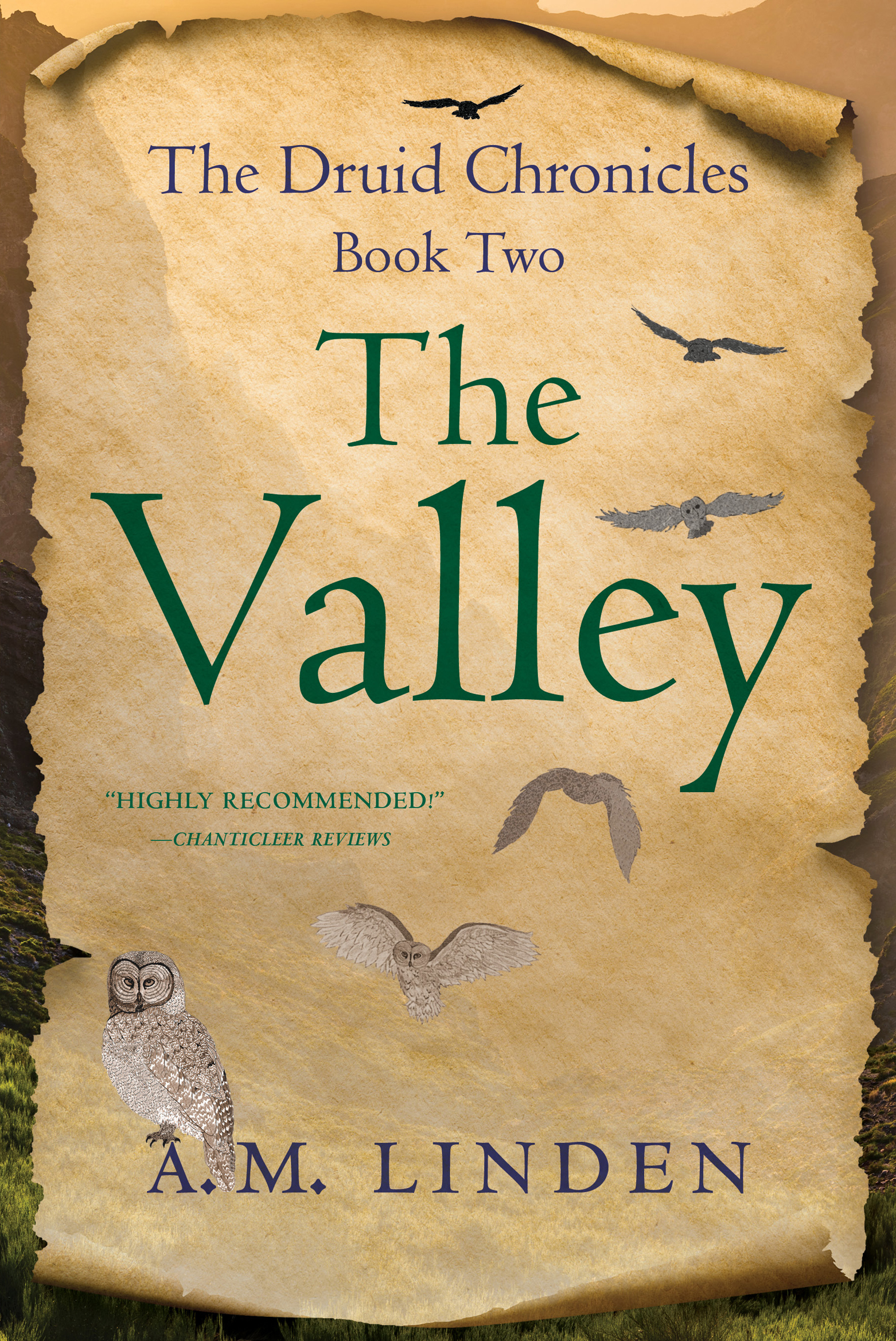 Cover: The Valley by A.M. Linden