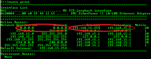 Default gateway fields