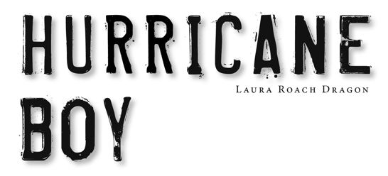 Hurricane Boy display type with author