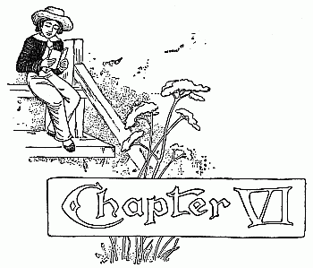 Chapter VI