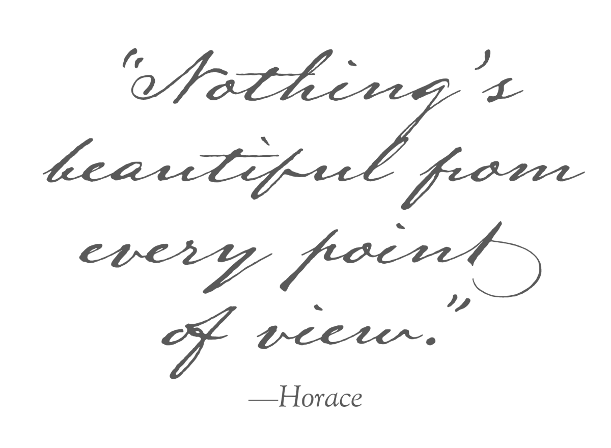 “Nothing’s beautiful from every point of view.”           —Horace