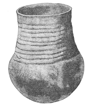 Fig. 242