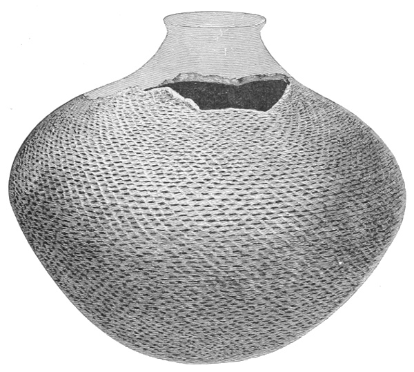 Fig. 245