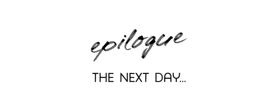 Epilogue: The Next Day…