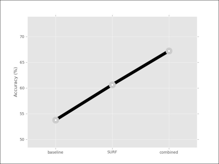 Local feature representations