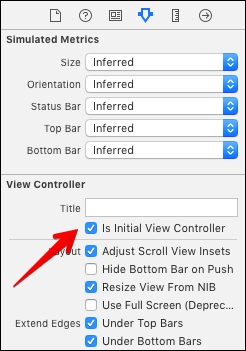 The initial View Controller