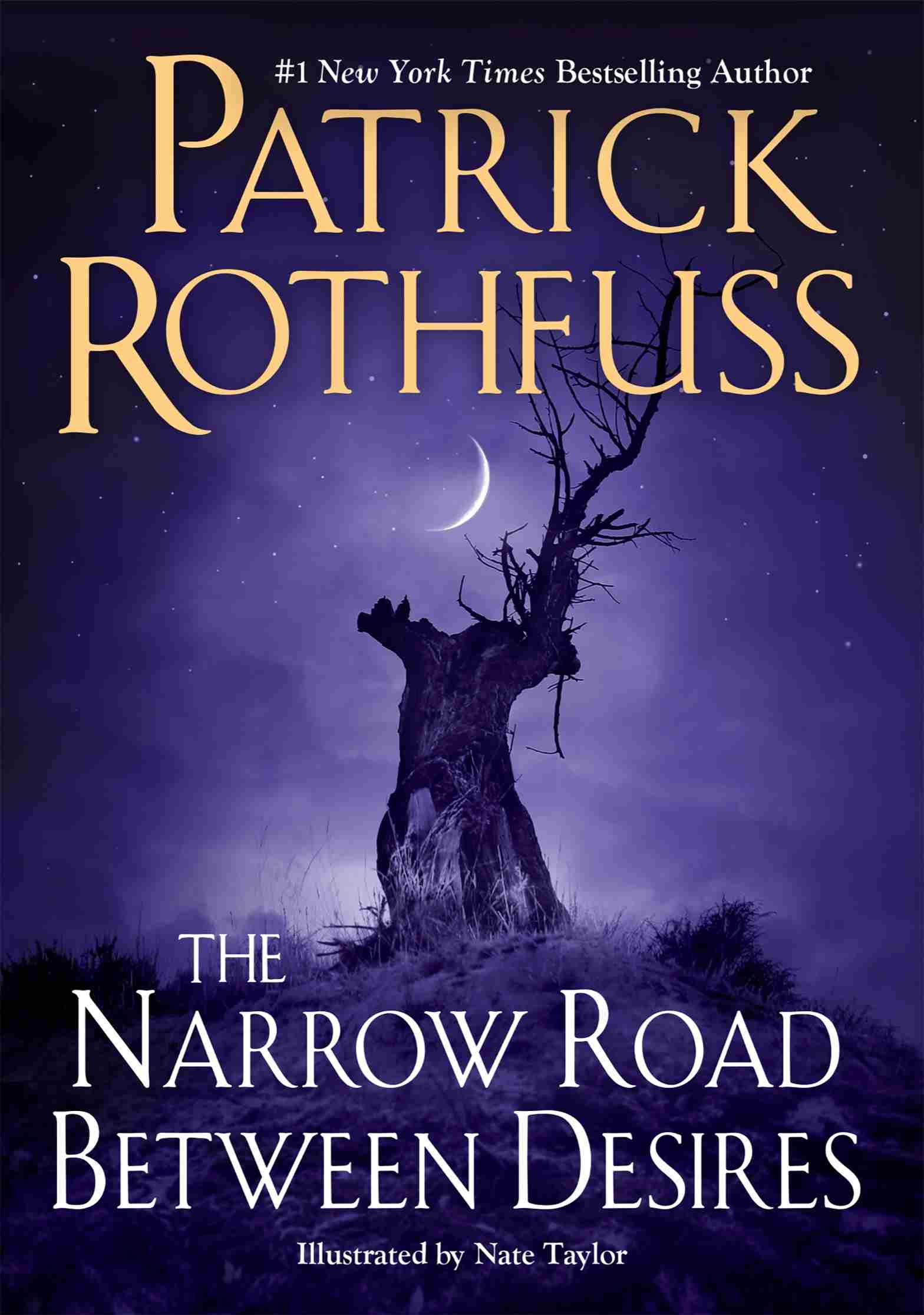 Cover for The Narrow Road Between Desires, Author, Patrick Rothfuss