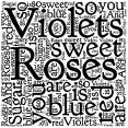 Violets Sweet Roses